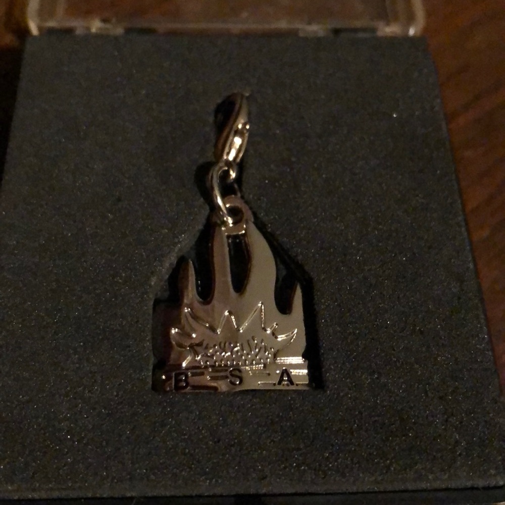 BSA Campfire Charm